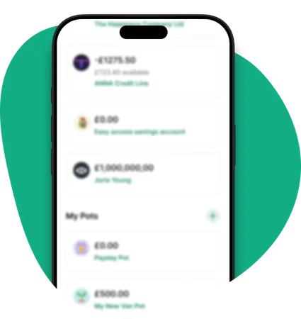 ANNA business savings account dashboard showing interest earned and balance